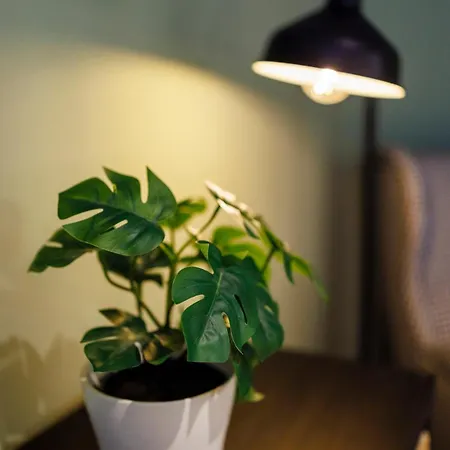 Appartement #cozy Nest With Balcony