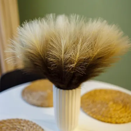 Apartment #cozy Nest With Balcony *