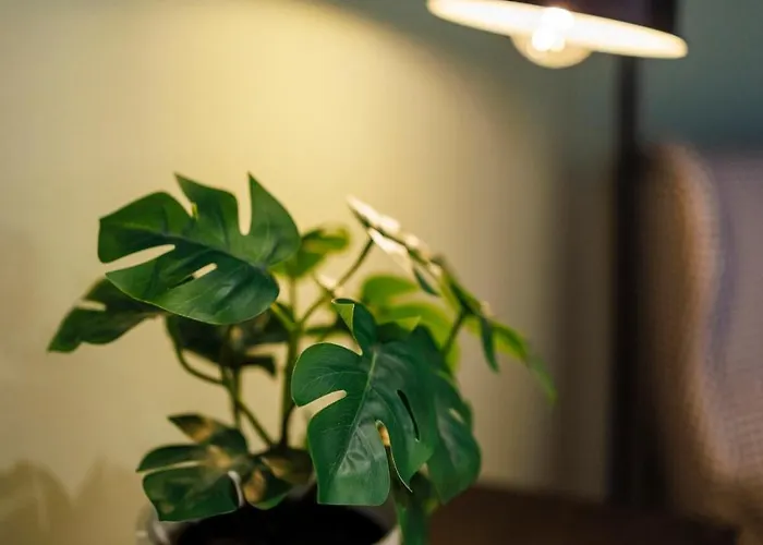 Appartement #cozy Nest With Balcony